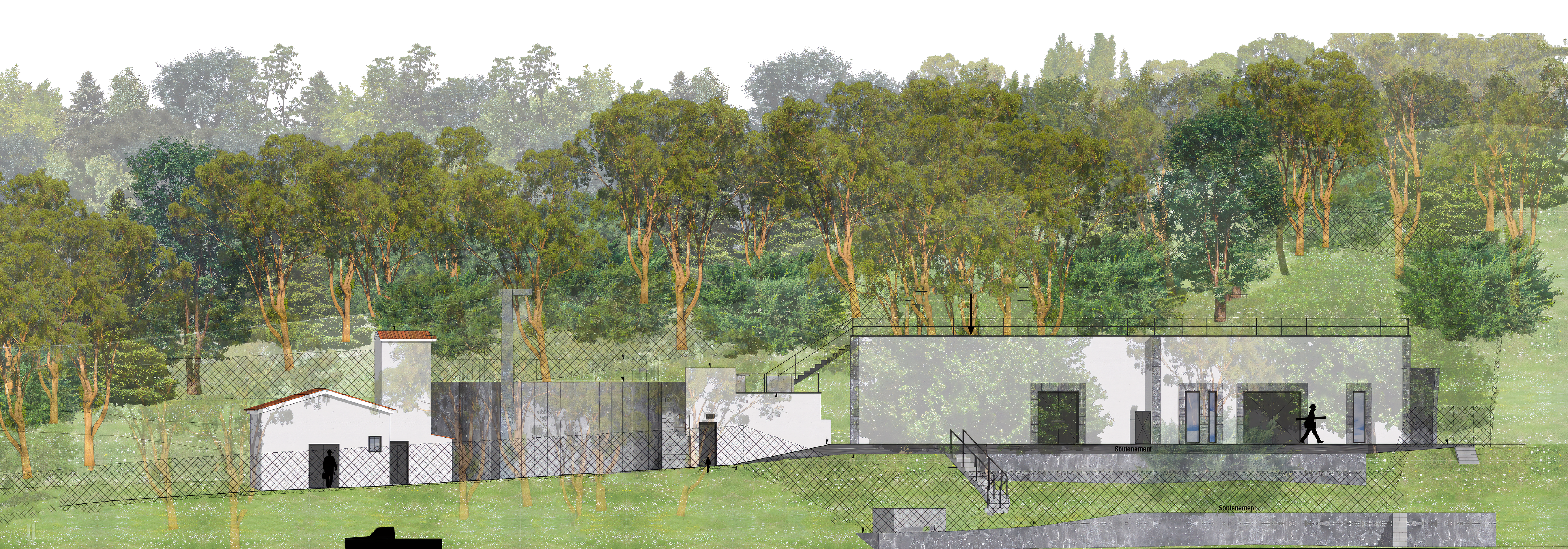 Stjeaninsertion_upscayl_4x_ultramix_balanced