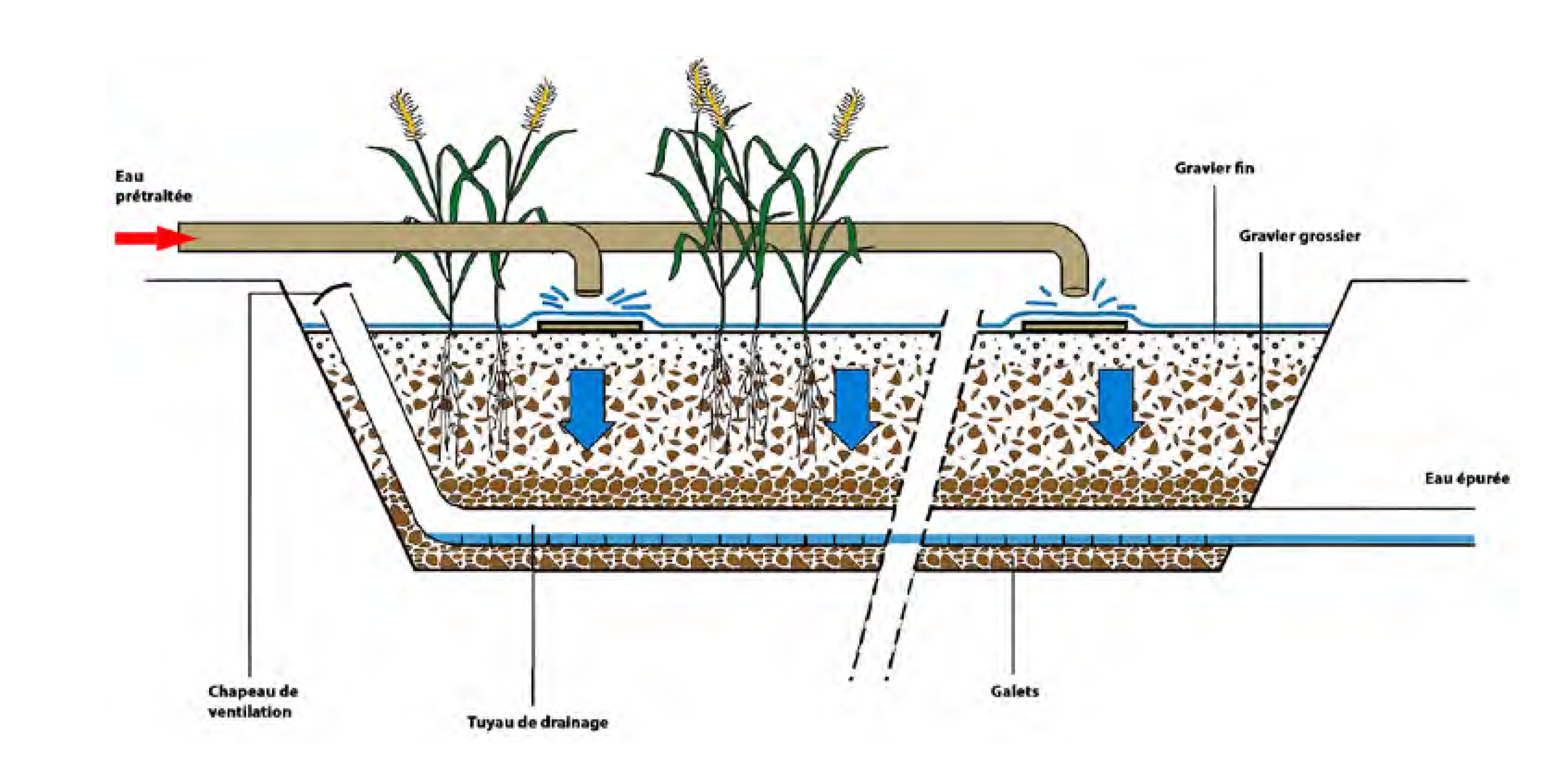 Capture d’écran 2024-10-14 100909